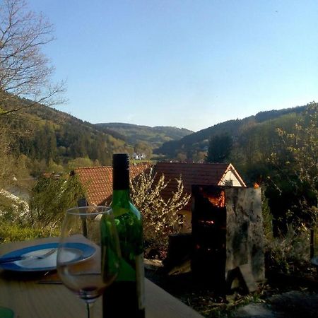 Fewo Pacohaus Naehe Willingen Diemelsee Brilon Exterior foto