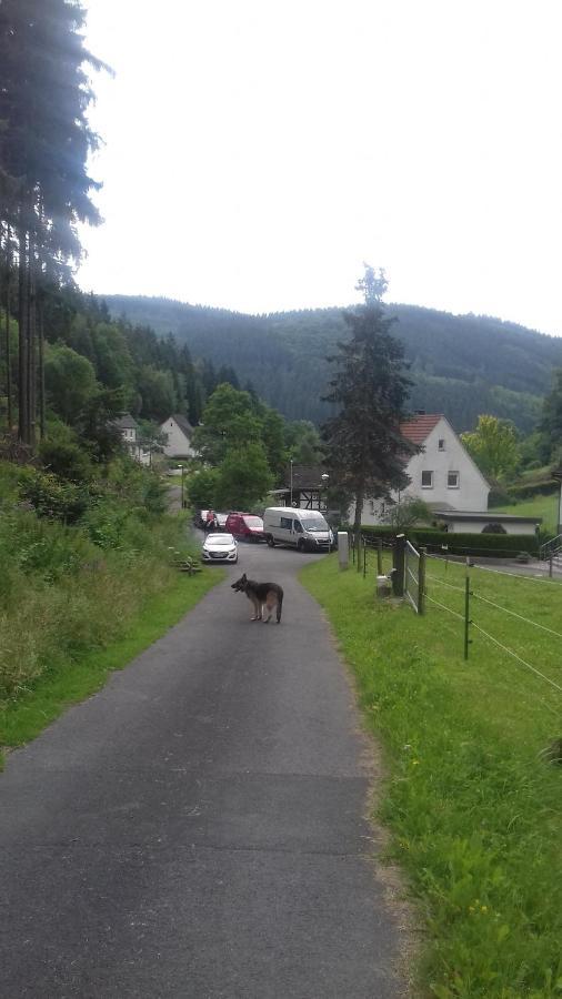 Fewo Pacohaus Naehe Willingen Diemelsee Brilon Exterior foto
